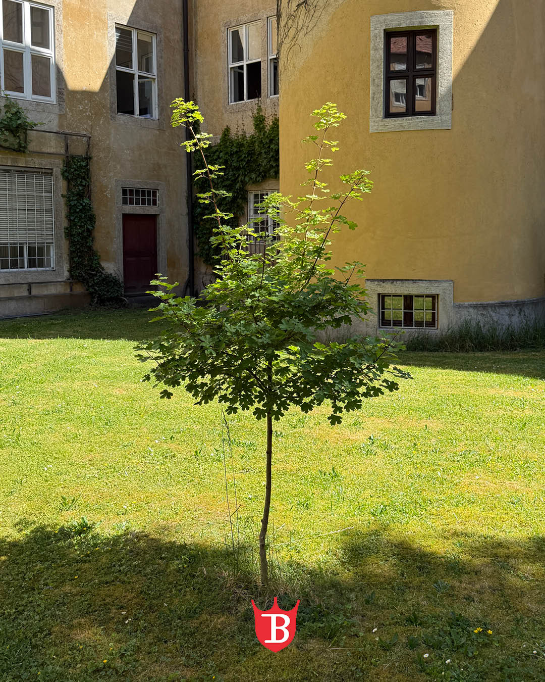 🌞 Raus aus dem Schatten – rein in die Sonne! 🌞